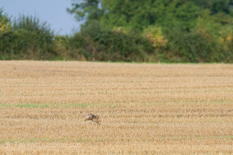 Damm it - Too close !