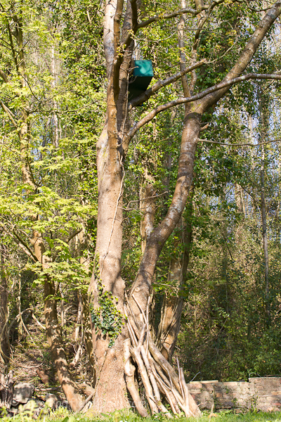 Nest box now sited on its side