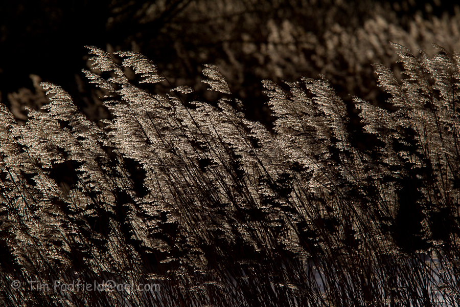 untitled shoot-011-3