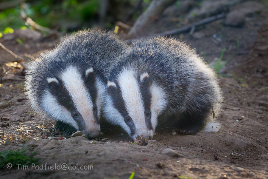 Pushing the opposition out of the way